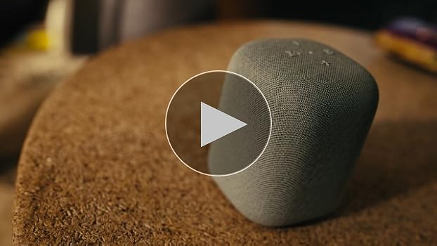 Sony LinkBuds Open WF-L910 Bluetooth Earbuds with an Open